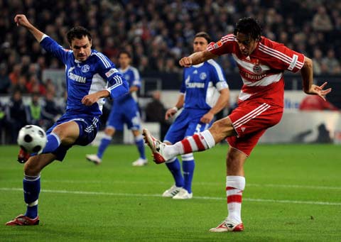 中也有自己 中也有自己